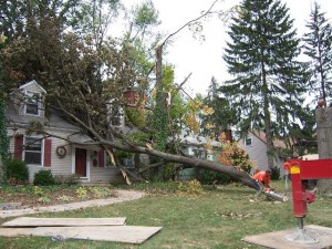 Storm Damage Repair